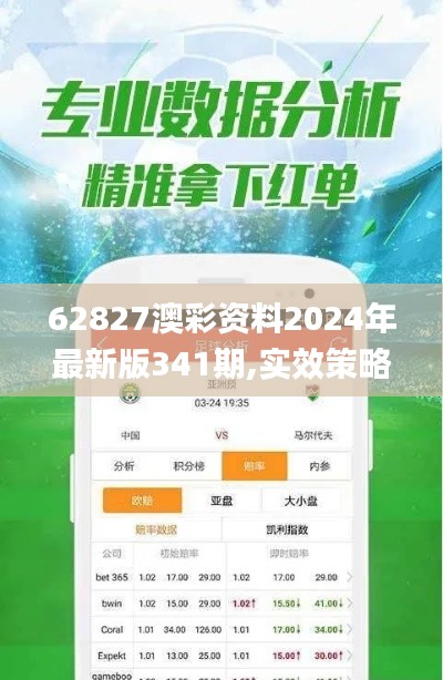 62827澳彩资料2024年最新版341期,实效策略分析_限定版8.285