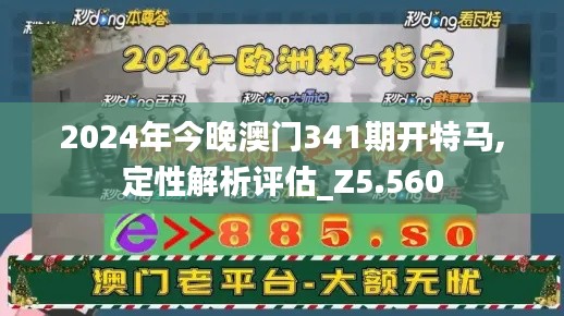 2024年今晚澳门341期开特马,定性解析评估_Z5.560