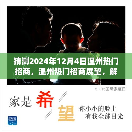 2024年温州热门招商展望与解析，预测与深度探讨