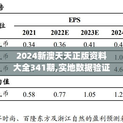 2024新澳天天正版资料大全341期,实地数据验证实施_入门版8.213