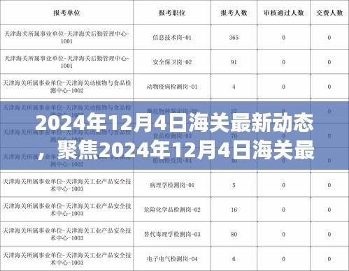 聚焦海关变革，2024年12月4日最新动态与趋势展望