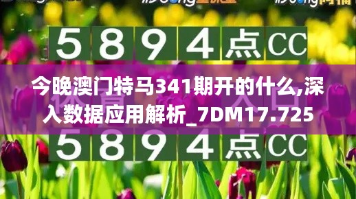 今晚澳门特马341期开的什么,深入数据应用解析_7DM17.725