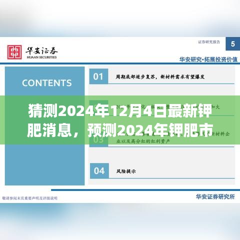 钾肥市场新动态预测，聚焦2024年12月4日最新消息分析核心动向