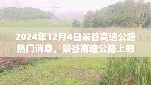 景谷高速公路，自然探索与心灵之旅的热门目的地（2024年12月4日）