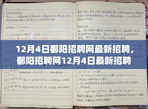 探寻人才与机遇交汇点，鄱阳招聘网最新招聘盛况揭秘（12月4日）