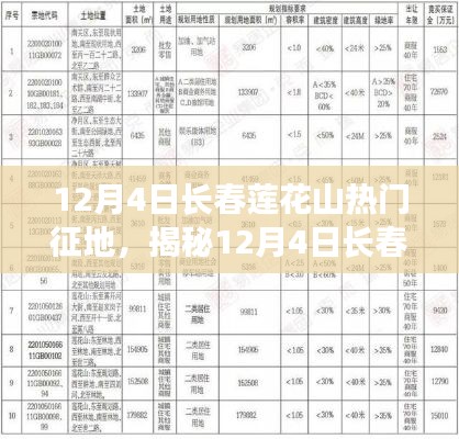 揭秘，长春莲花山热门征地背后的热议话题，12月4日征地动态揭秘！