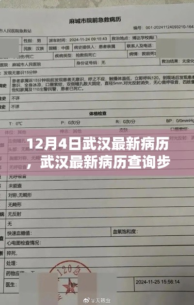 武汉最新病历查询指南，初学者与进阶用户适用，12月4日最新病例解析