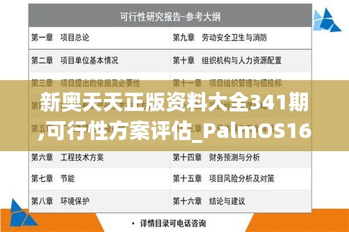 新奥天天正版资料大全341期,可行性方案评估_PalmOS16.167