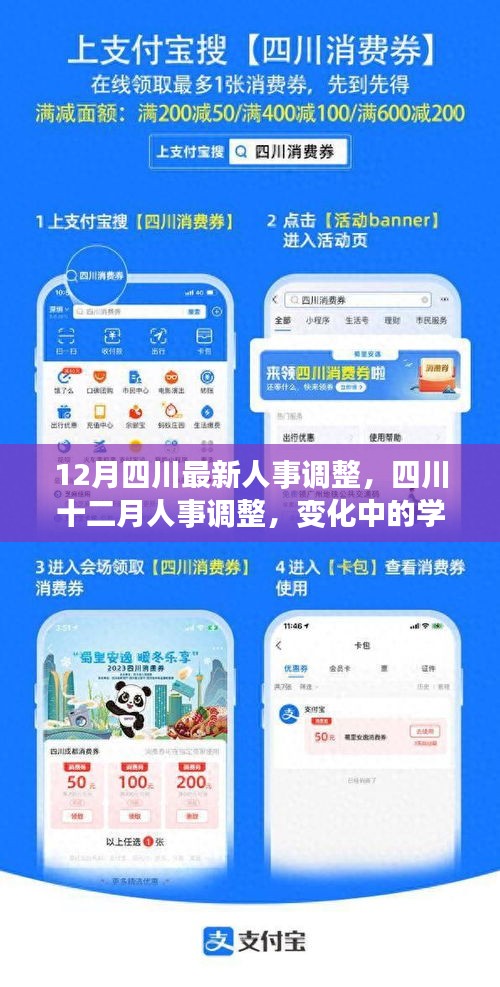 四川人事调整，学习之旅中的变化与成就感的源泉