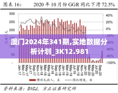 澳门2024年341期,实地数据分析计划_3K12.981