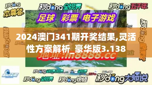 2024澳门341期开奖结果,灵活性方案解析_豪华版3.138