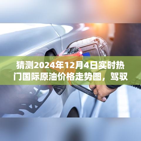 揭秘未来油价走势，预测2024年12月4日国际原油走势图，洞悉变化铸就自信成就之路。