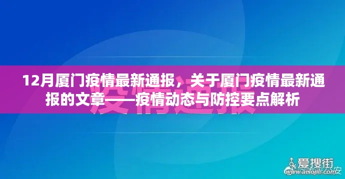 2024年12月6日 第9页