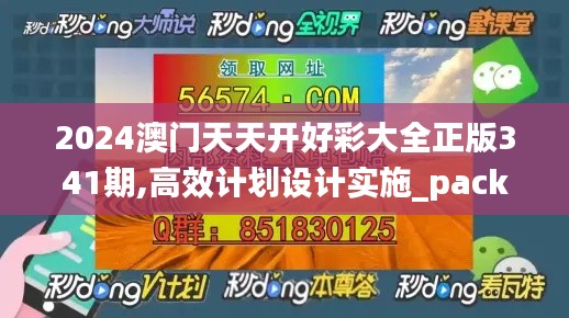 2024澳门天天开好彩大全正版341期,高效计划设计实施_pack16.627