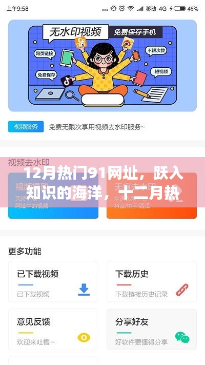 十二月热门91网址导航，跃入知识海洋，共筑自信成就之梦