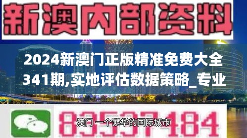 2024新澳门正版精准免费大全341期,实地评估数据策略_专业款14.100