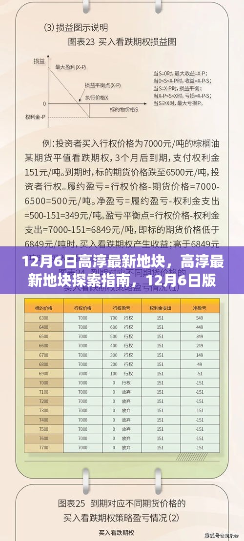 12月6日高淳地块探索指南，最新地块信息一览，开启探索之旅