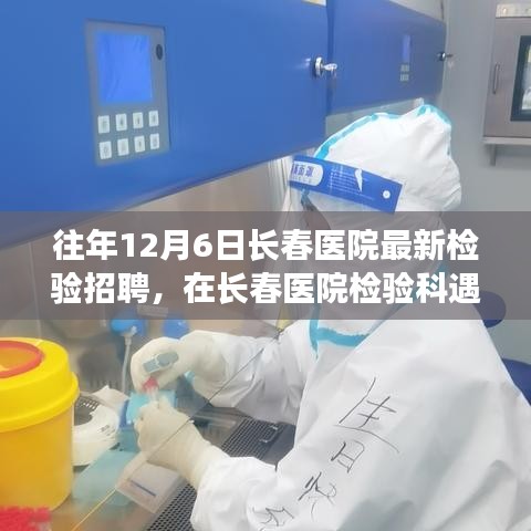 长春医院检验科招聘，友情与梦想的温馨日常故事