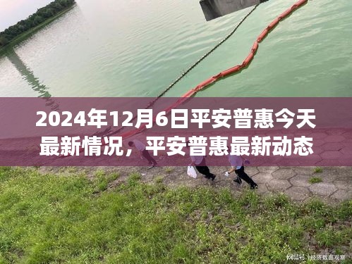 平安普惠最新动态，聚焦2024年12月6日的发展现状、未来展望与最新情况解析