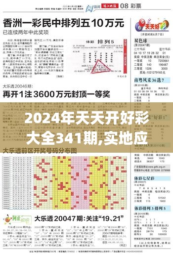 2024年天天开好彩大全341期,实地应用验证数据_开发版18.911