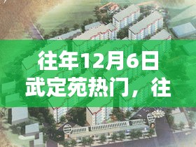 往年12月6日武定苑活动盛况概览