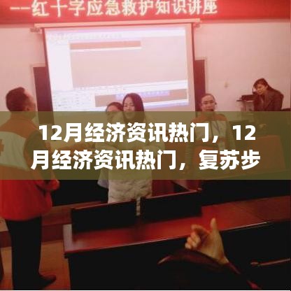 12月经济资讯聚焦，复苏步伐稳健还是增长压力重重？