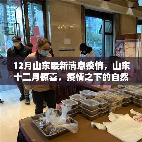 山东十二月疫情最新消息，疫情之下的自然探索之旅，寻找内心宁静与平和