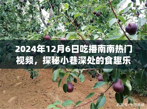 探秘南南美食小铺，味蕾盛宴的食趣乐园吃播之旅（2024年12月6日）