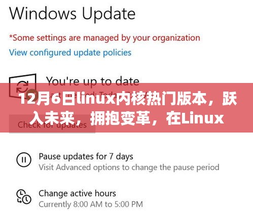 Linux内核热门版本探寻之旅，跃入未来，拥抱变革的魔法之旅