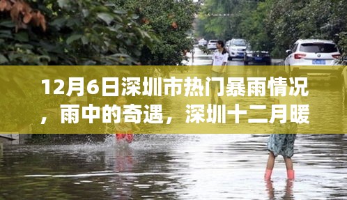 深圳暴雨奇遇，暖日下的温馨暴雨故事（12月6日）