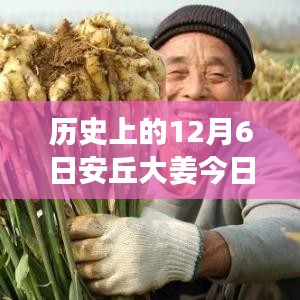 历史上的12月6日安丘大姜今日最新价格，🚀科技领航，探秘大姜新纪元——历史上的12月6日安丘大姜今日智能价格标签亮相