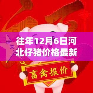 河北仔猪价格变化揭示自信与成就之路的学习力量最新动态