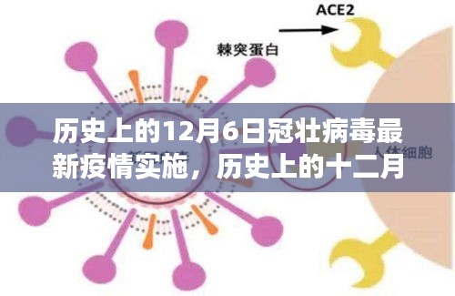 历史上的12月6日冠壮病毒最新疫情实施洞察，小红书与你共行抗疫之路