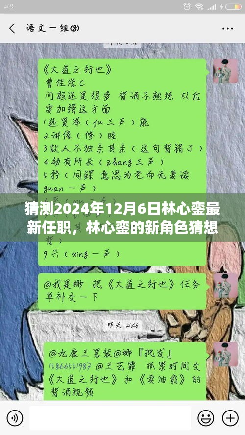 林心銮新角色猜想，职场冒险之旅揭晓林心銮于2024年12月6日的最新任职揭秘