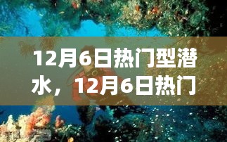 探索最佳潜水体验之旅，12月6日热门潜水活动日