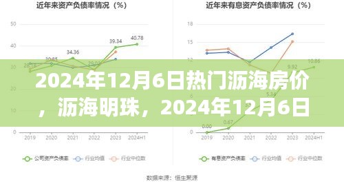 2024年12月7日 第6页