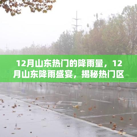 12月山东热门的降雨量，12月山东降雨盛宴，揭秘热门区域的降雨量奥秘