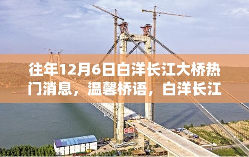 白洋长江大桥历年12月6日盛况回顾，欢乐时光与友情的桥梁传奇