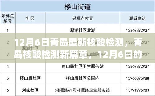 青岛核酸检测新篇章，深度洞察与影响，青岛最新核酸检测报告发布（深度解读）