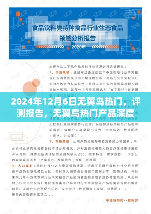 2024年无翼鸟热门产品深度解析与评测报告