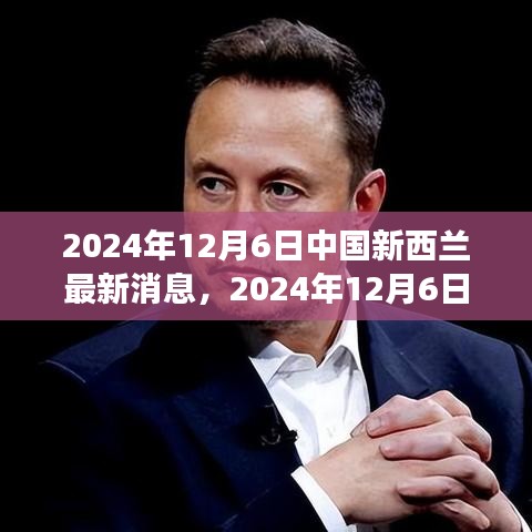 中国新西兰最新动态，深度解读与行动指南（2024年12月6日）