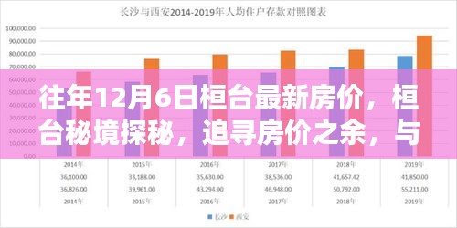 2024年12月8日 第8页