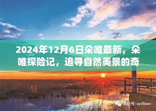 朵唯探险记，追寻自然美景的奇妙旅程（2024年12月6日最新）