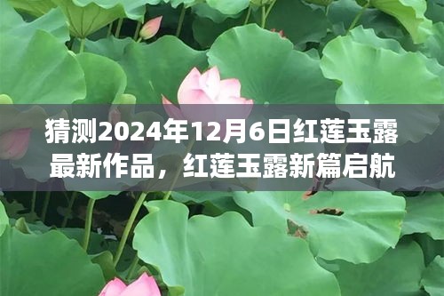 红莲玉露新篇章启航，学习变化与自信成就未来，见证奇迹的2024年红莲玉露新作品展望