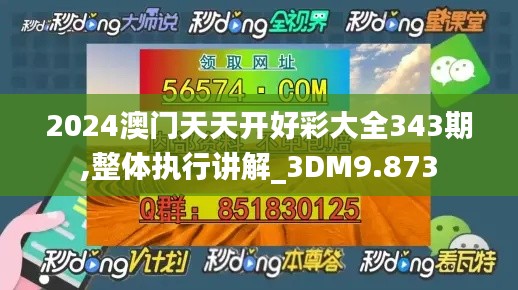 2024澳门天天开好彩大全343期,整体执行讲解_3DM9.873