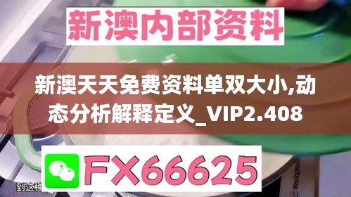 新澳天天免费资料单双大小,动态分析解释定义_VIP2.408