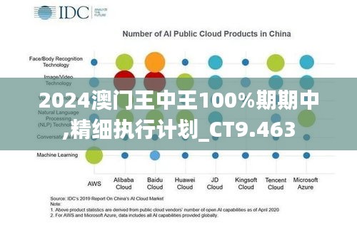 2024澳门王中王100%期期中,精细执行计划_CT9.463