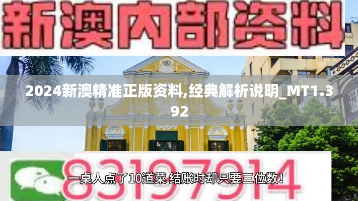 2024新澳精准正版资料,经典解析说明_MT1.392