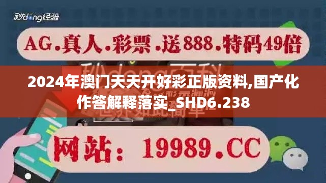 2024年澳门天天开好彩正版资料,国产化作答解释落实_SHD6.238