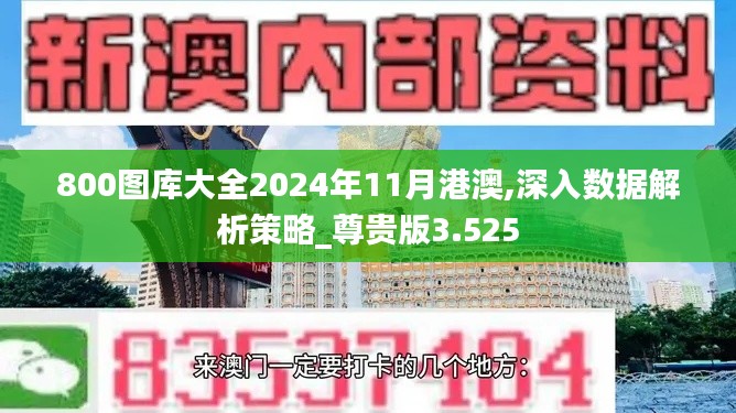 800图库大全2024年11月港澳,深入数据解析策略_尊贵版3.525